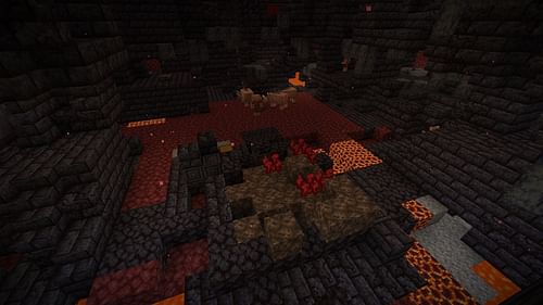 Nether wart growing in bastion (Image via Mojang)