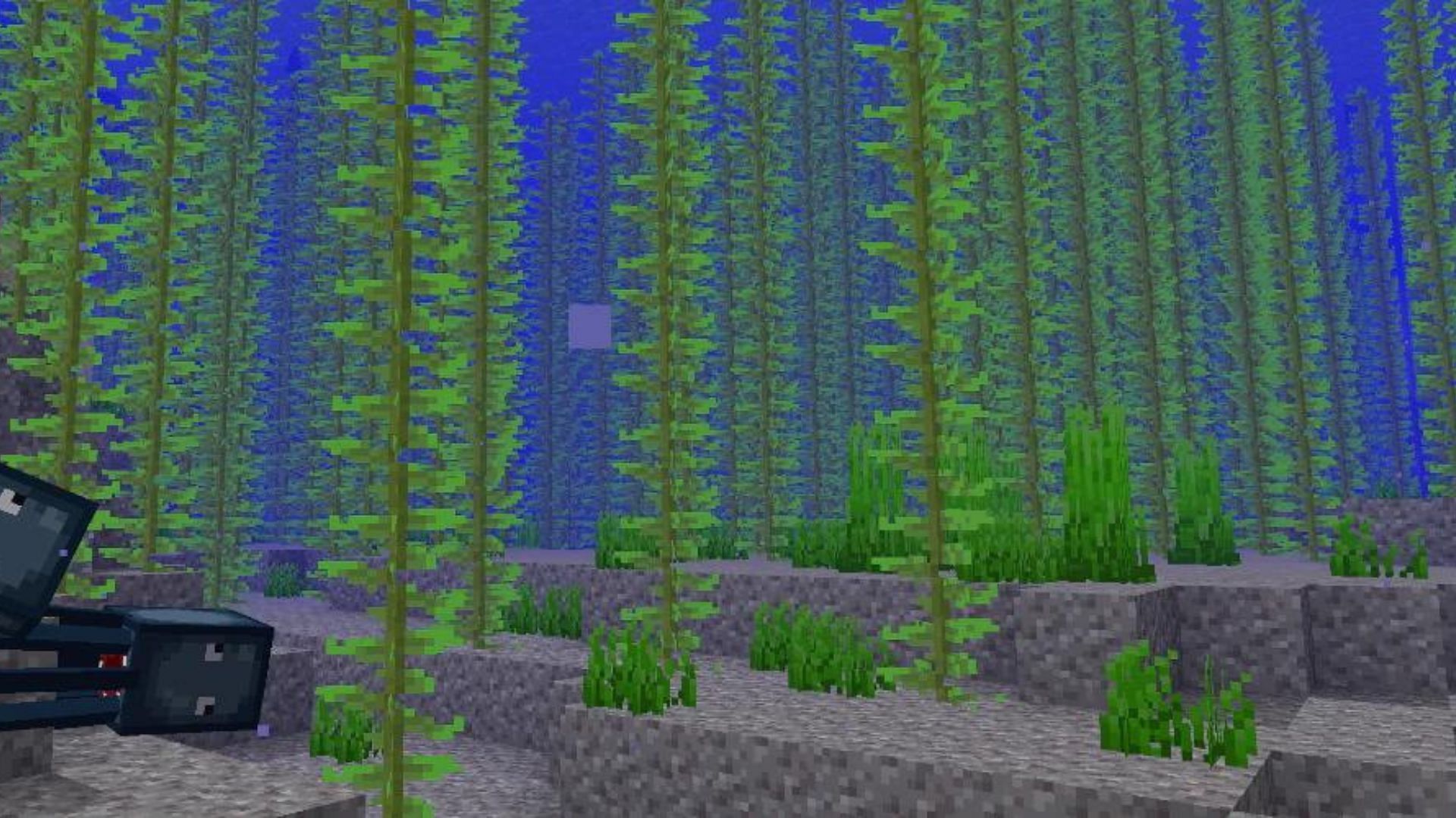 Minecraft kelp farm no longer works