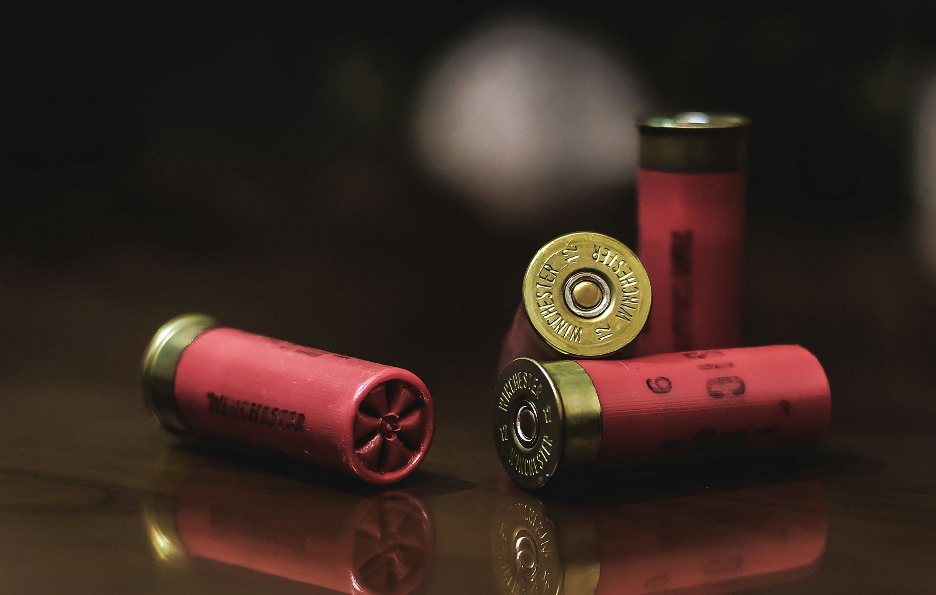 The bullet casings matched the gun found in the canal which was used to kill Tara Rosado and her partner (Image by David Leveque/Unsplash)