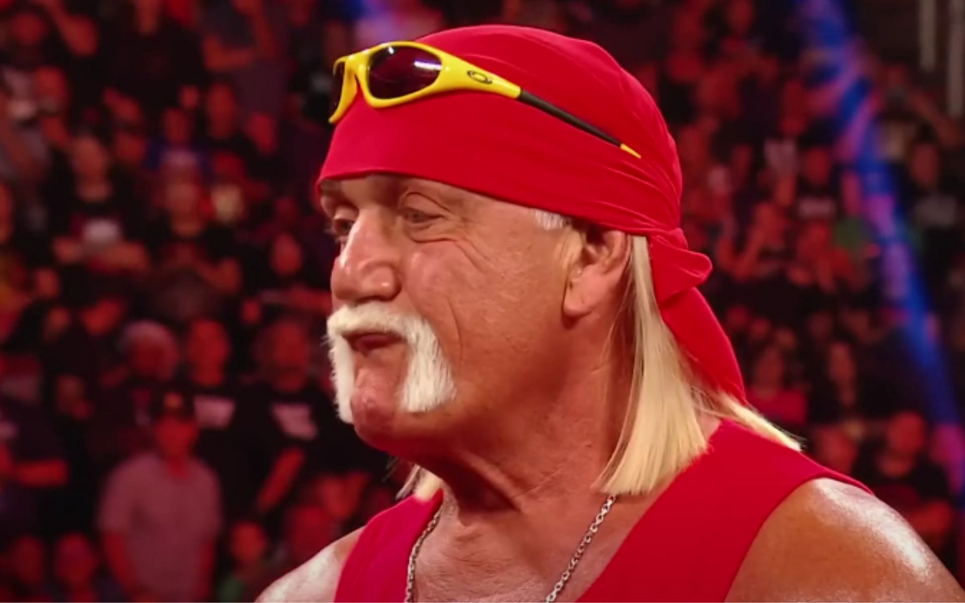 The Hulkster (Picture Courtesy: WWE on YouTube)