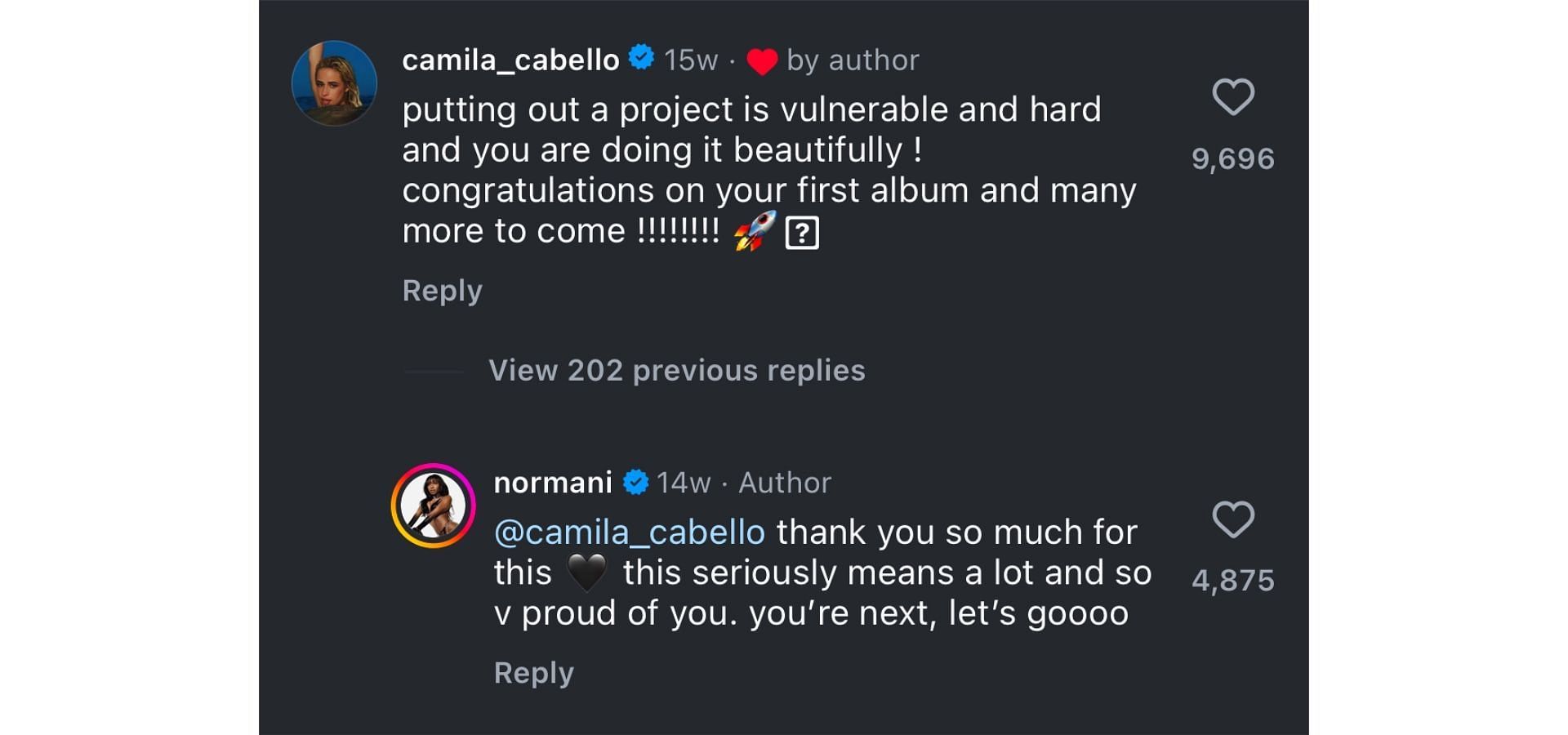 Camila&rsquo;s comment under Normani&#039;s post (Image via Instagram/@normani)