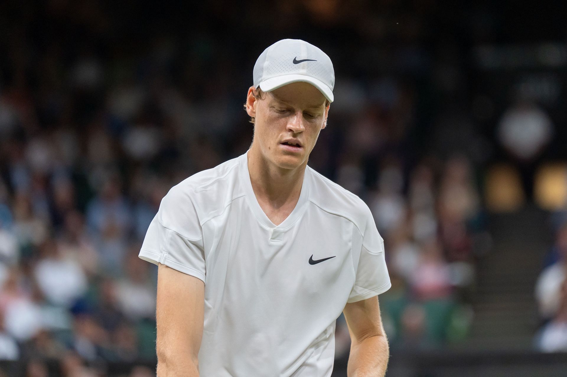 Jannik Sinner at the 2024 Wimbledon Championships (Source: Getty Images)