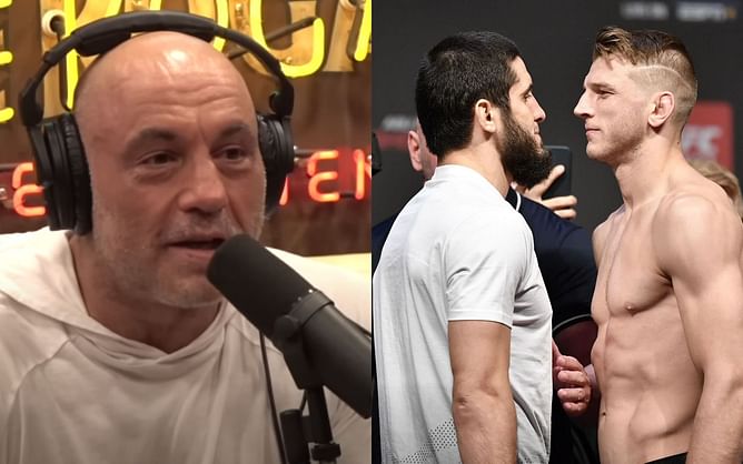 Joe Rogan argues Dan Hooker might be solid matchup for Islam Makhachev down the line: "He's a dog"