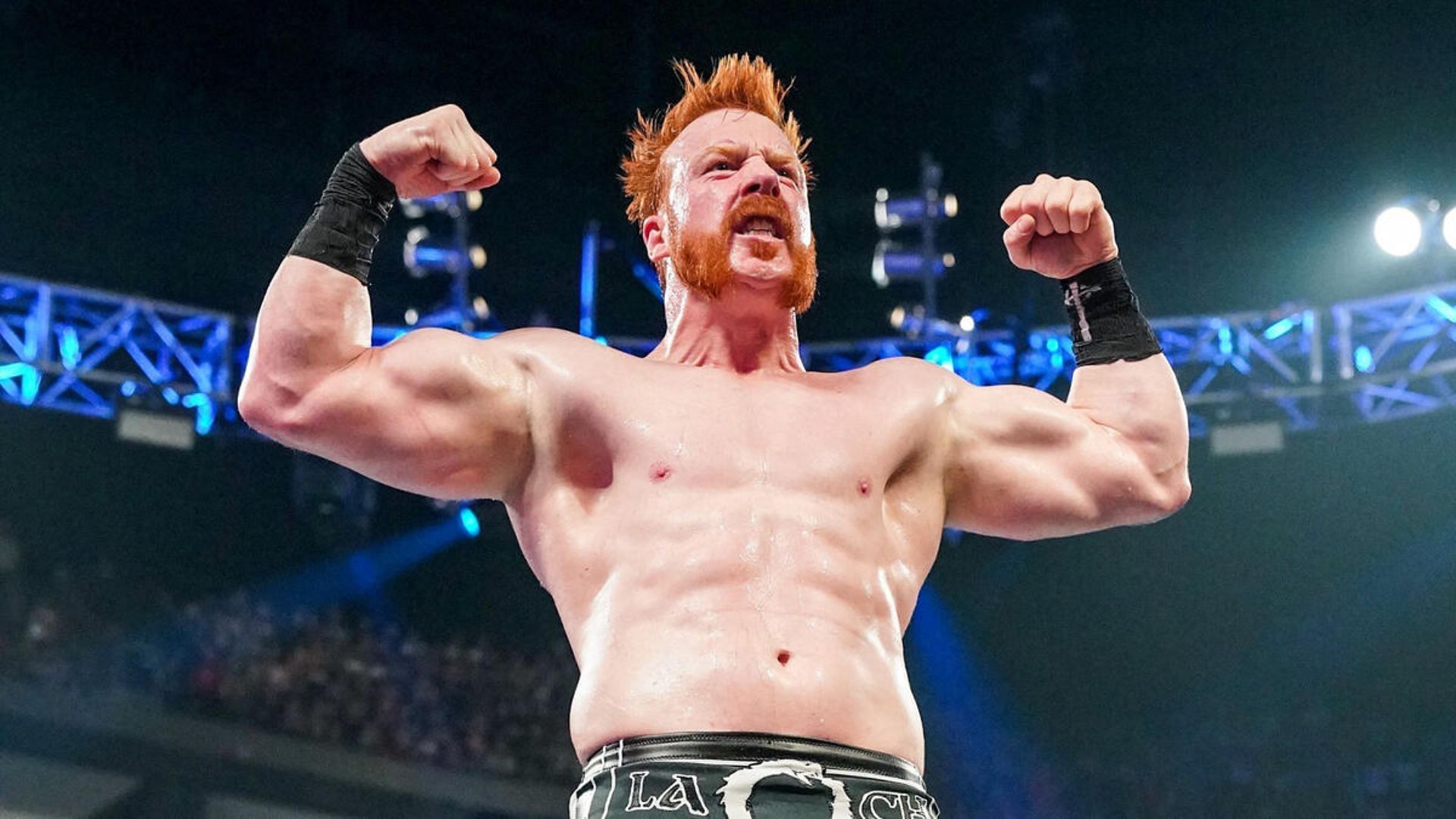 Sheamus is a 4-time World Champion in World Wrestling Entertainment [Photo credit: WWE]