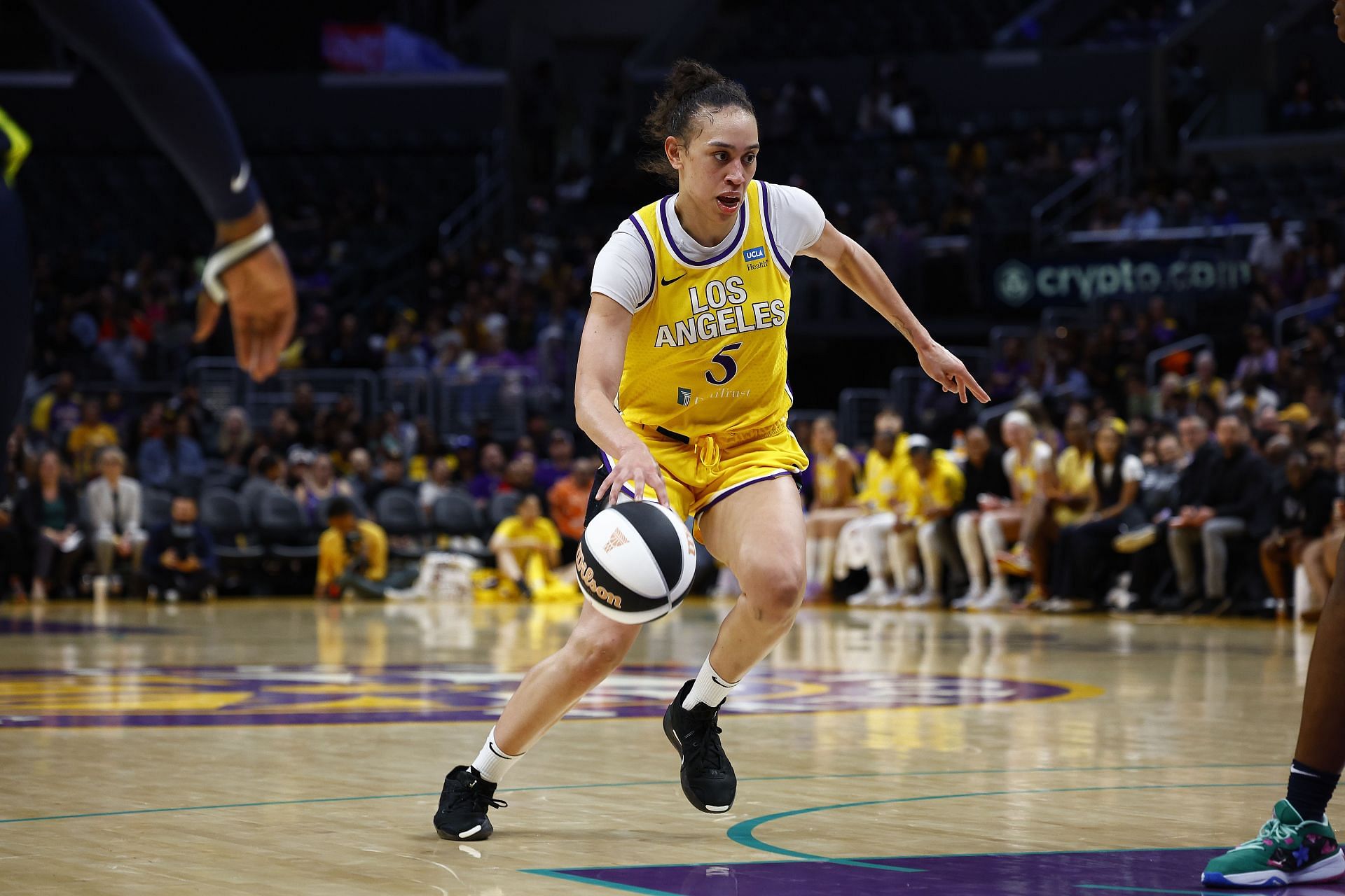 Kia Nurse Wingspan