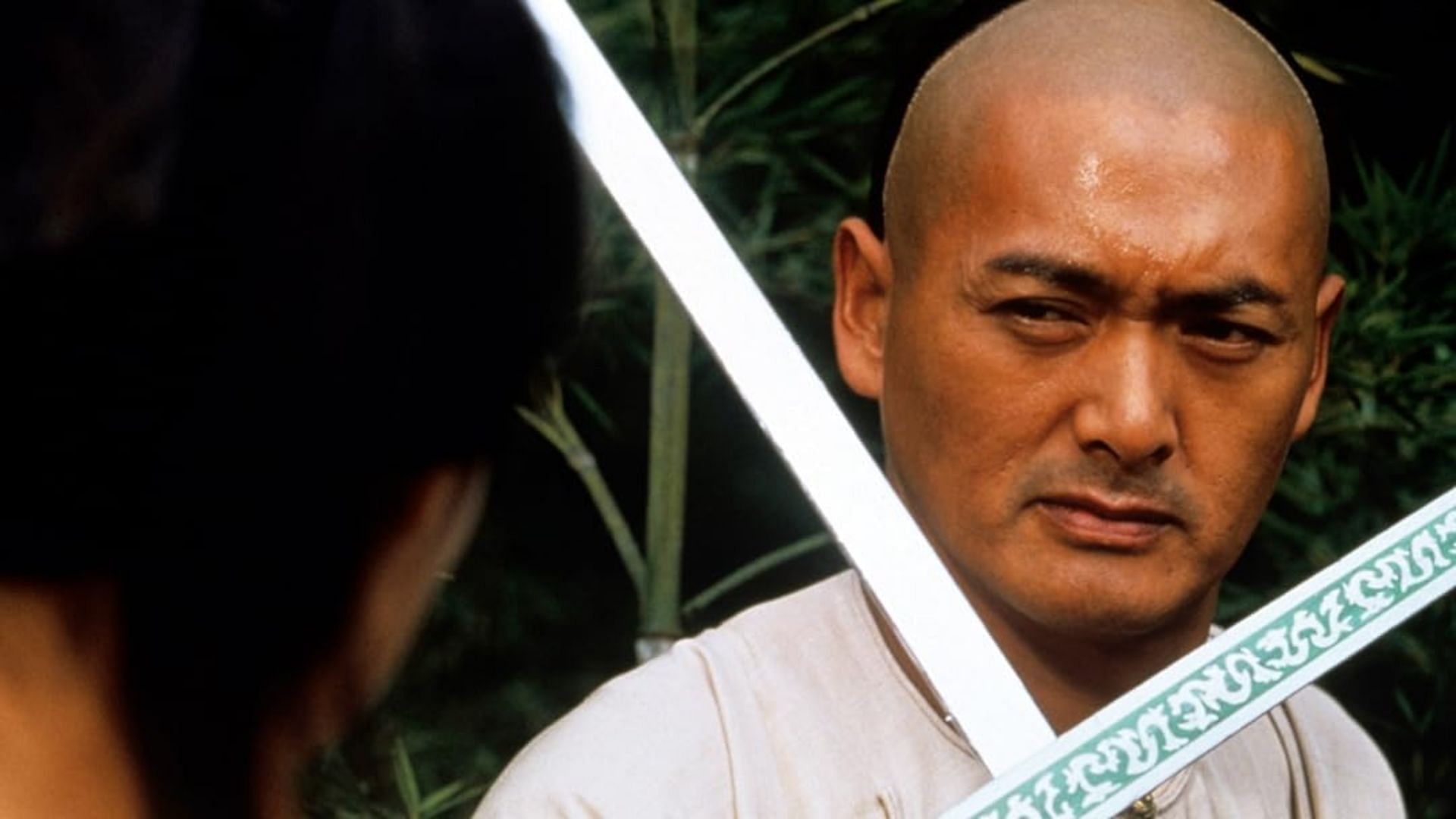 Crouching Tiger, Hidden Dragon ending explained: Does Li Mu Bai die?