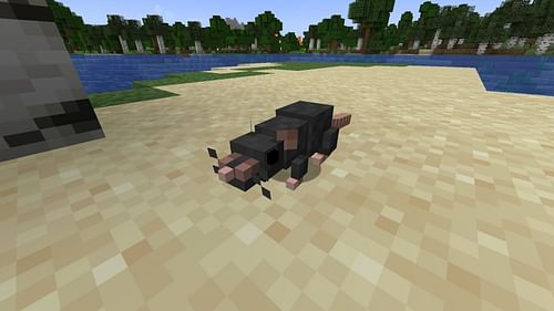 A standard rat in the Rats mod (Image via Mojang/Alexthe666)