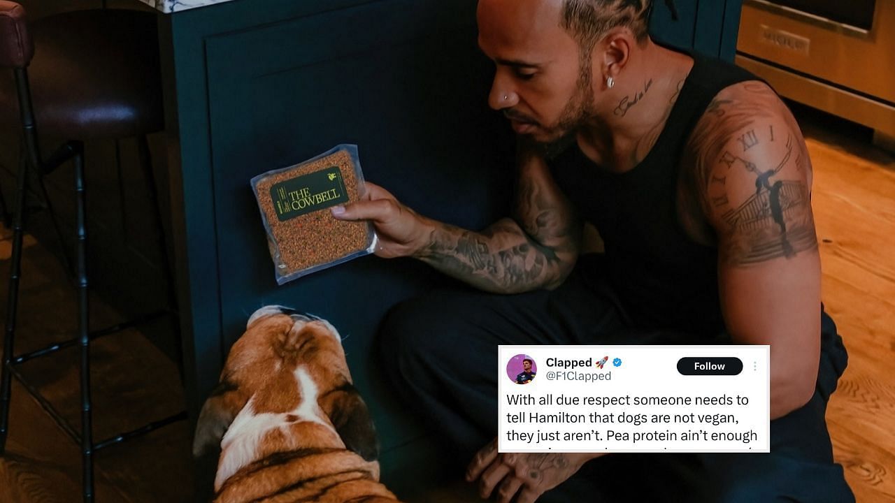 Lewis Hamilton and Roscoe Hamilton. Credit: instagram.com/lewishamilton. Fan reaction by x.xom/F1Clapped.