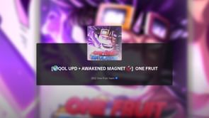 One Fruit QOL + Accessory Rework Update: Patch notes