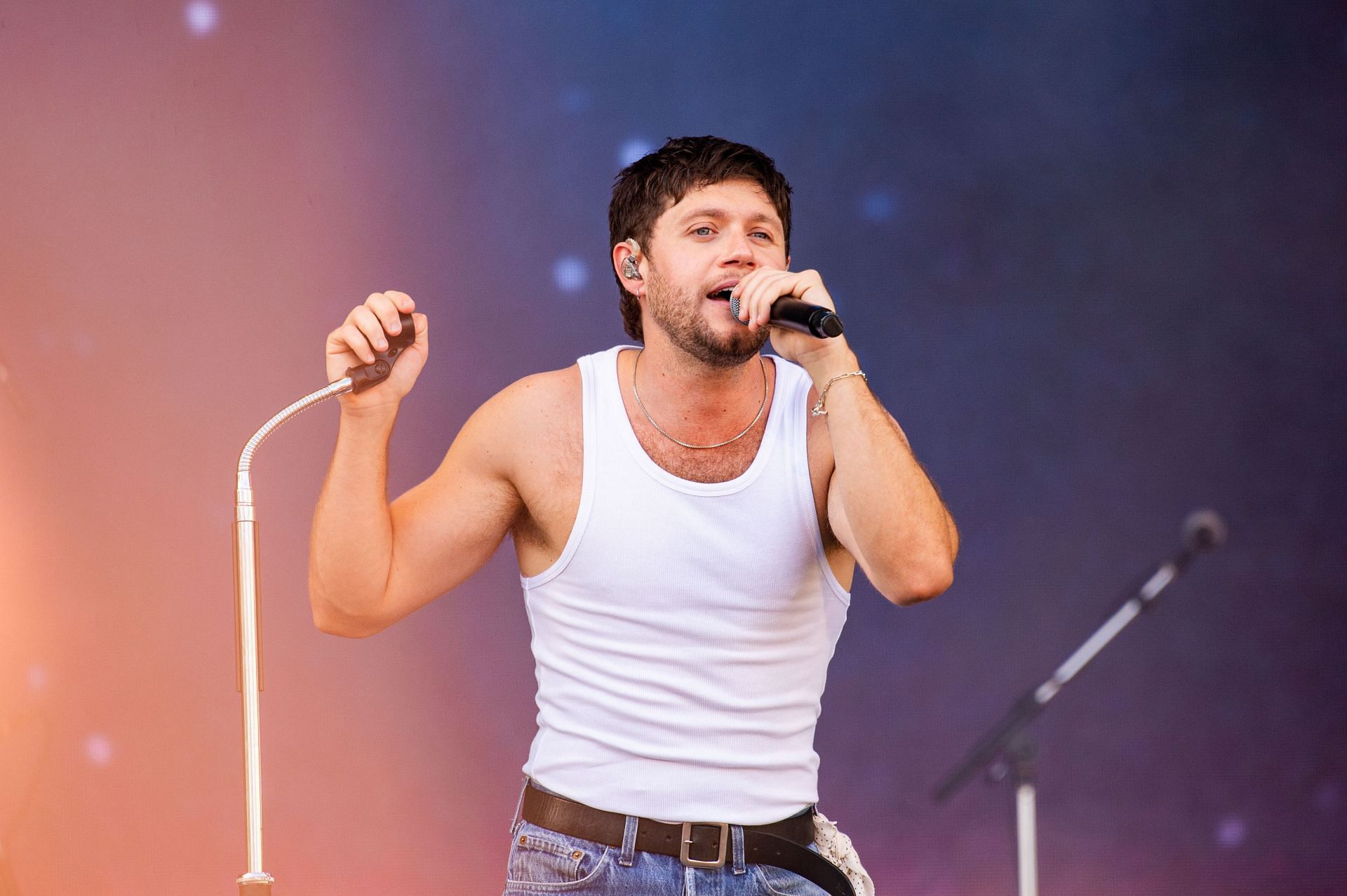 Niall Horan at the 2024 Superbloom Festival - Day 1 (Image via Getty)