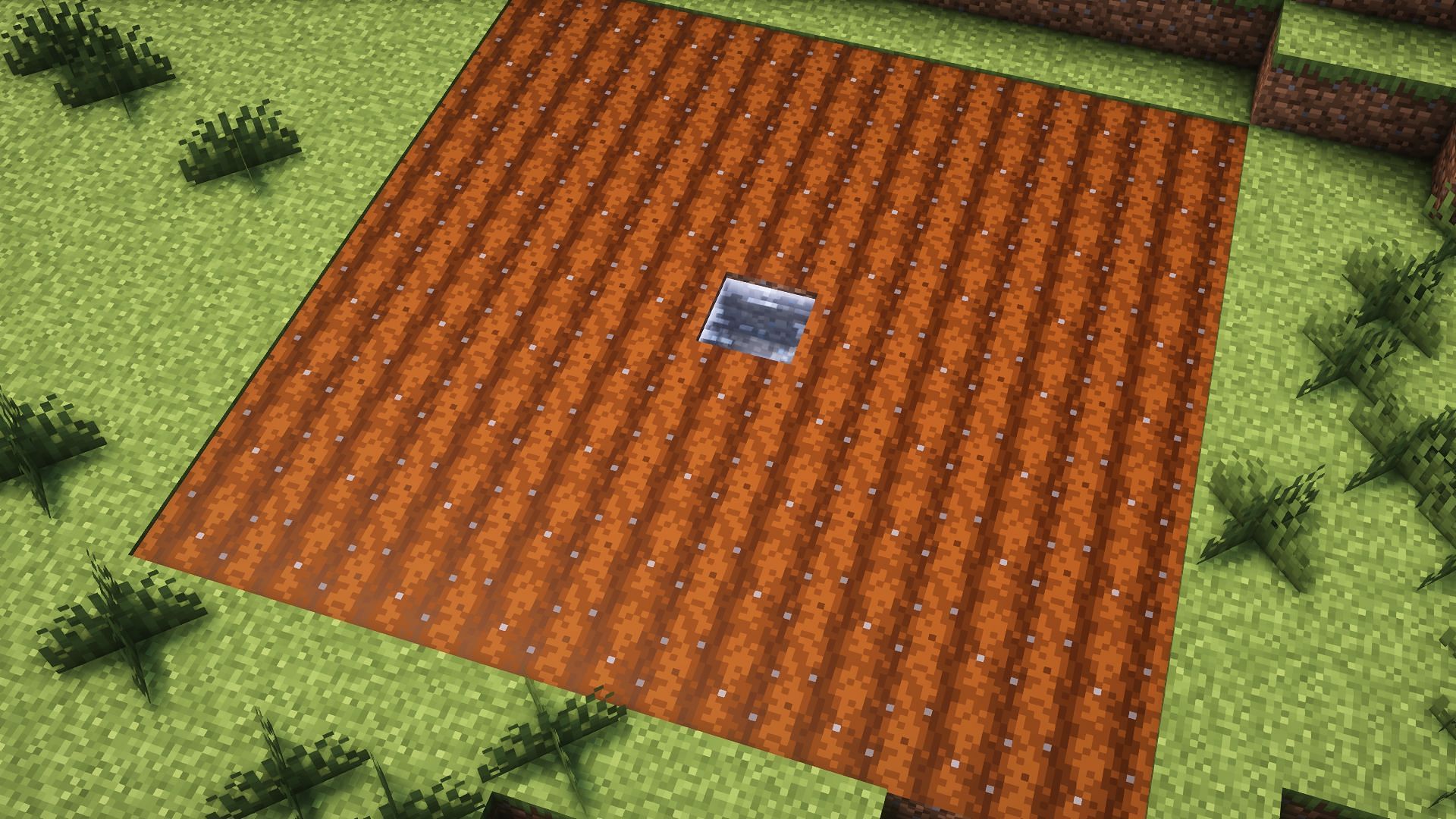 Farmland can be watered in an efficient way to accelerate plant growth (Image via Mojang Studios)