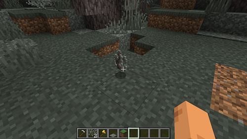 Harvest the Pale Oak Tree to get your hands on the saplings (Image via Mojang Studios)