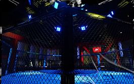 UFC removes seven fighters in latest roster purge, Cuban Olympian and ranked flyweight among subtractions