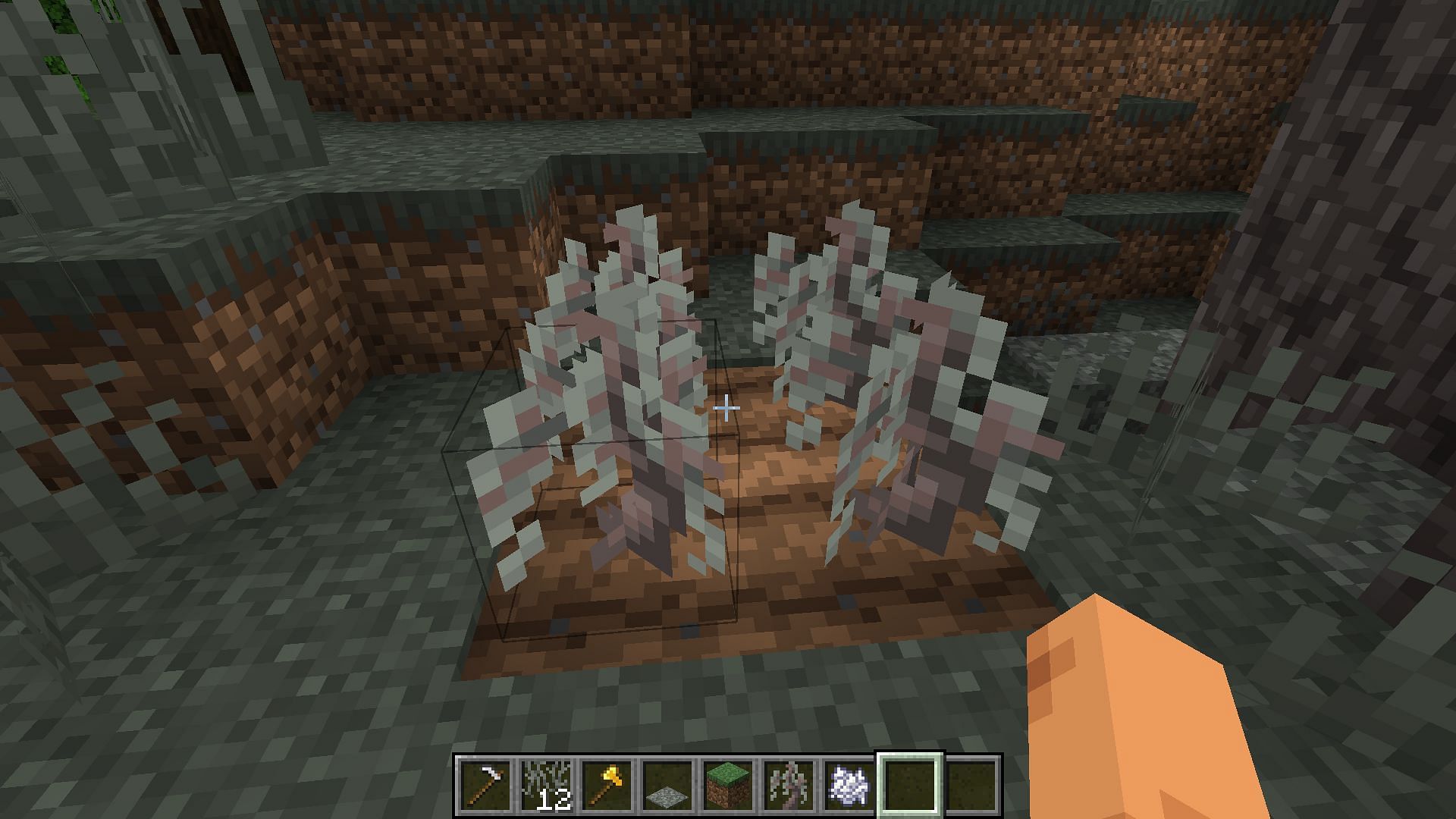 Plant four saplings to grow a Pale Oak Tree (Image via Mojang Studios)