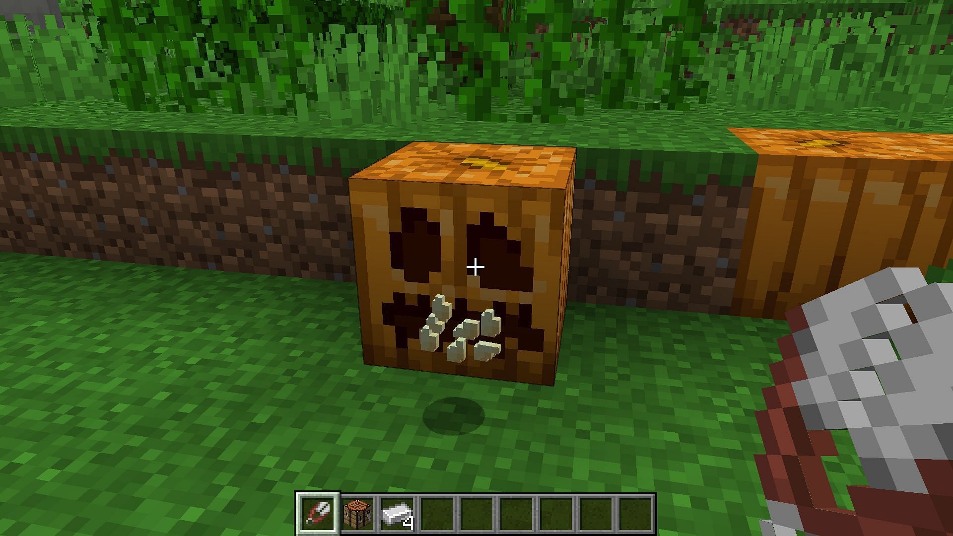 Carving the pumpkin will drop four seeds (Image via Mojang Studios)