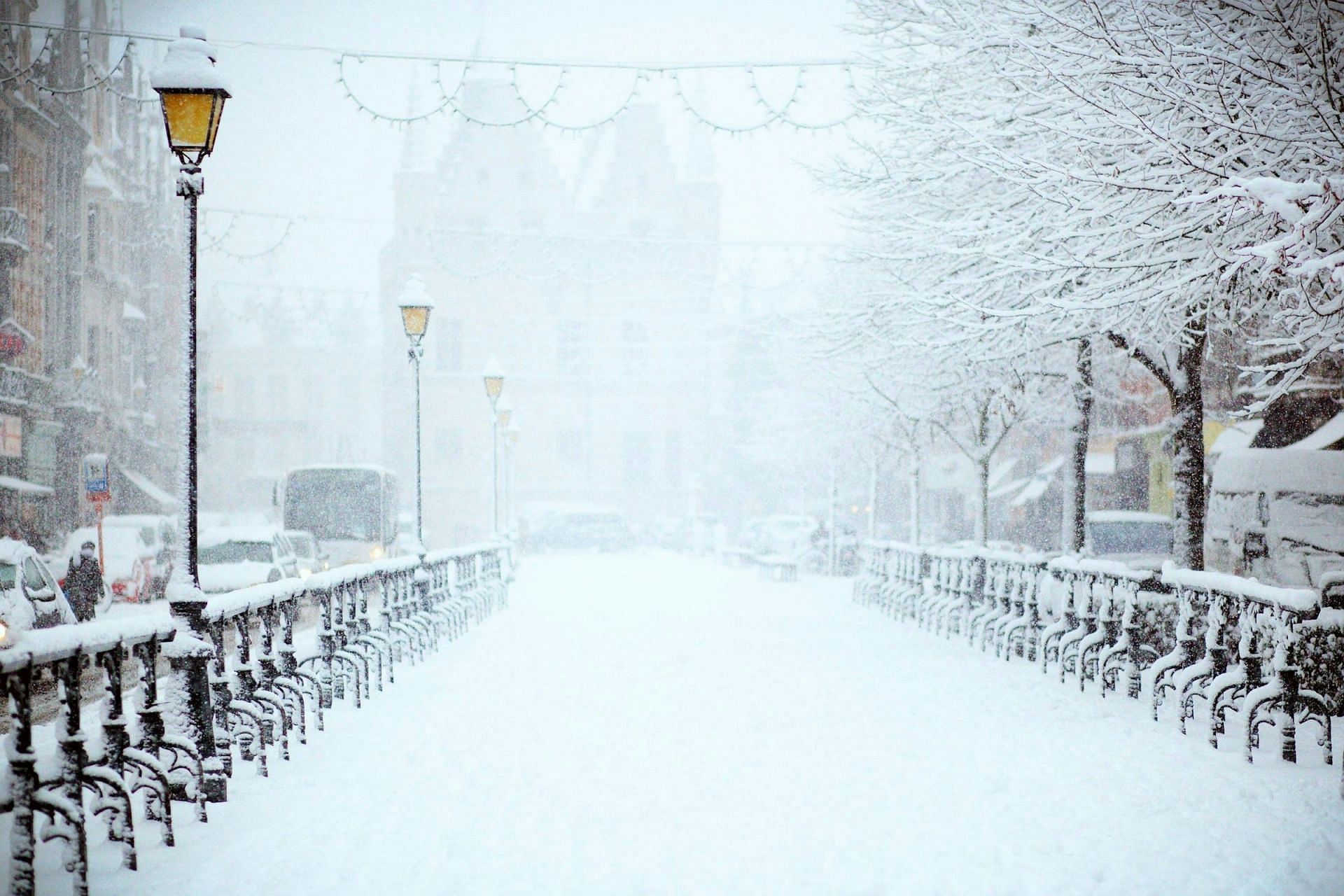 There were no footprints even in the snow (Image by Filip Bunkens/Unsplash)