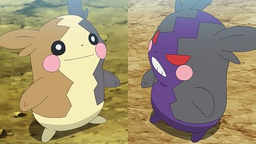 Morpeko's two forms in the anime (Image via TPC)