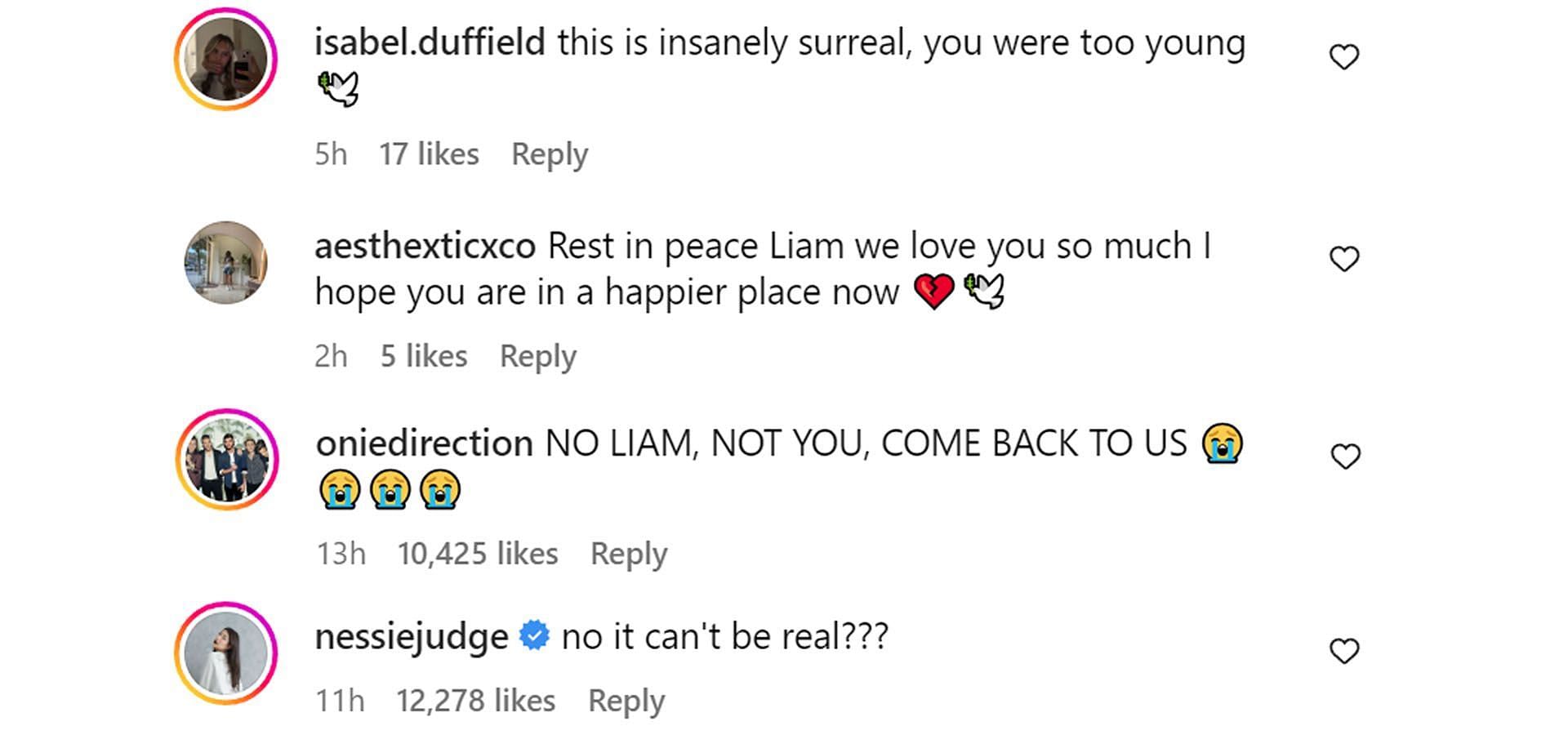 A comment reacting to the news (Image via Instagram/@liampayne)