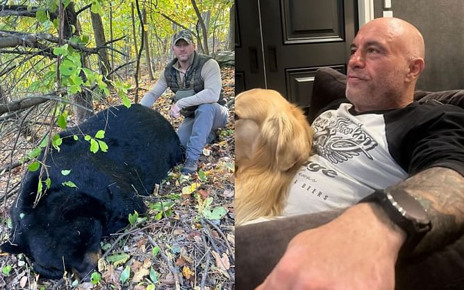 Joe Rogan is astonished by Brian Melvin's historic "770 lbs" black bear hunt: "Holy sh*t"