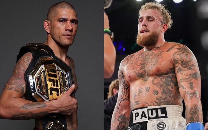 Alex Pereira makes his opinion on Jake Paul's persistent callouts clear: "I cannot just leave"