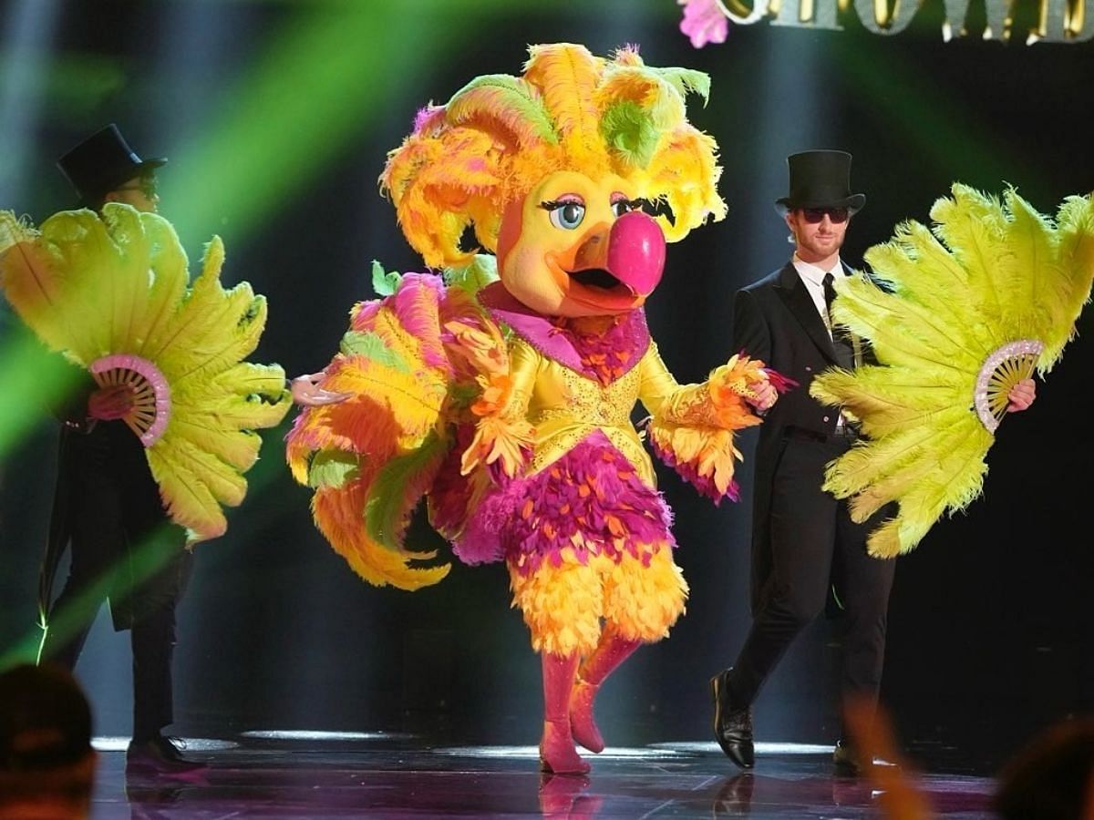 Showbird from The Masked Singer (Image via Instagram/@maskedsingerfox)