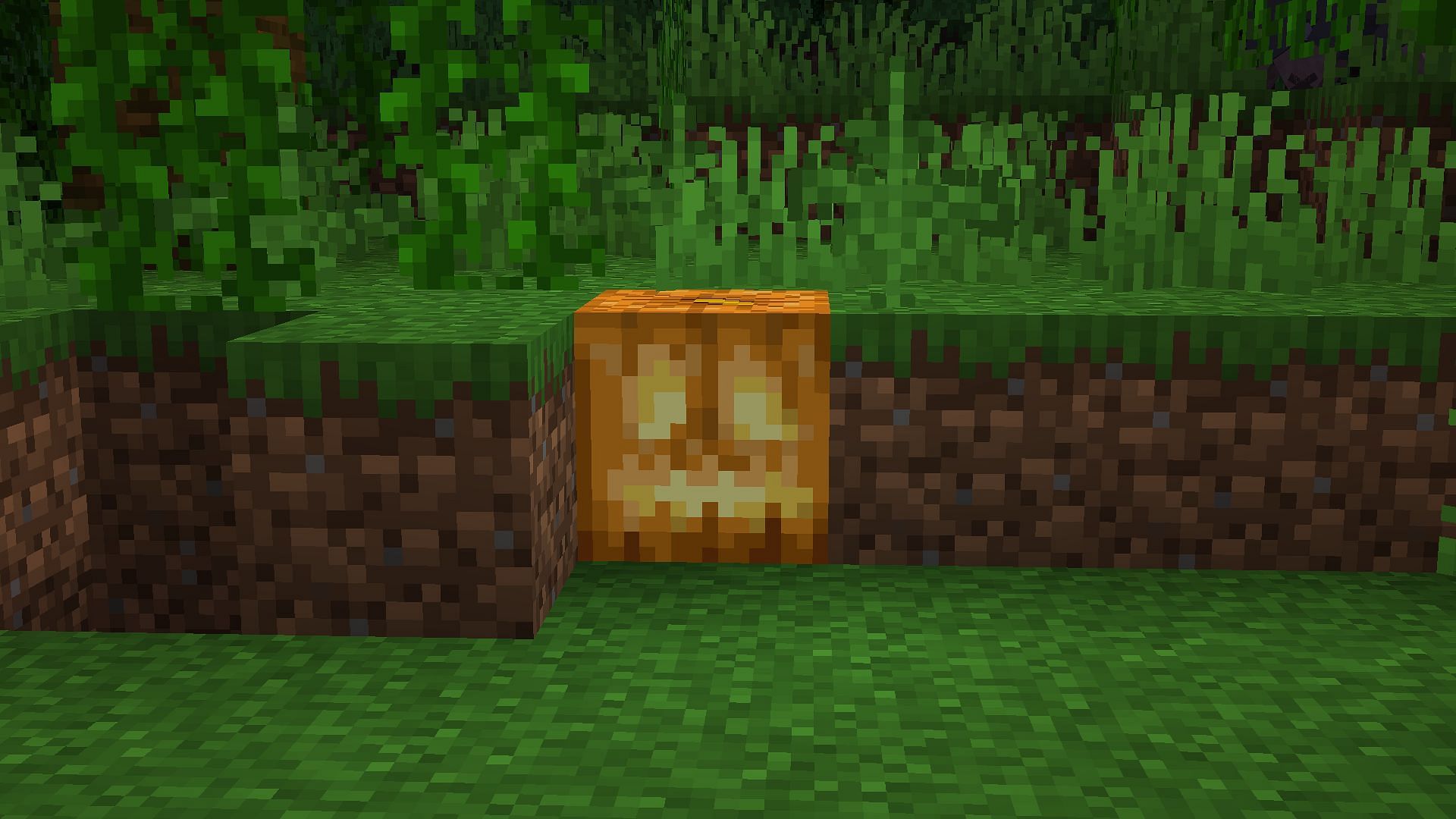 Jack-o-lanterns can illuminate your world at night (Image via Mojang Studios)