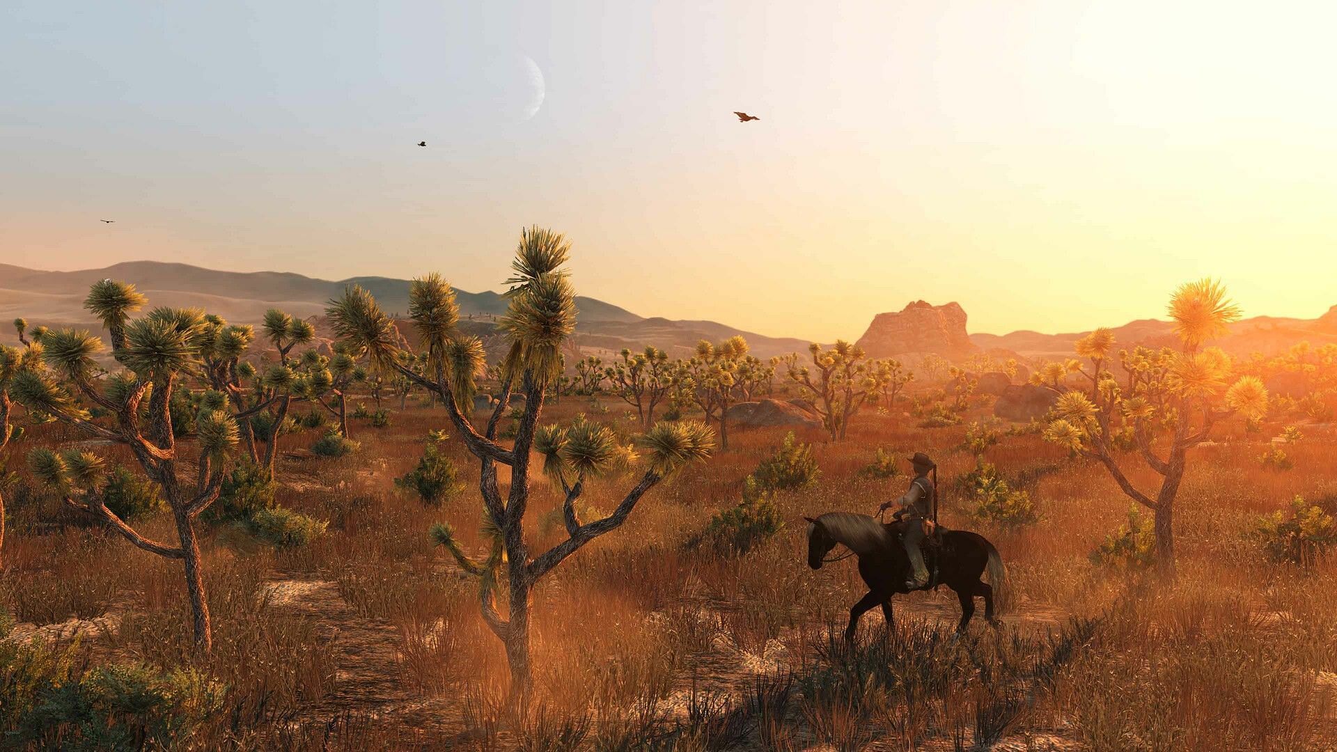 Despite its age, Red Dead Redemption looks visually appealing (Image via Rockstar)