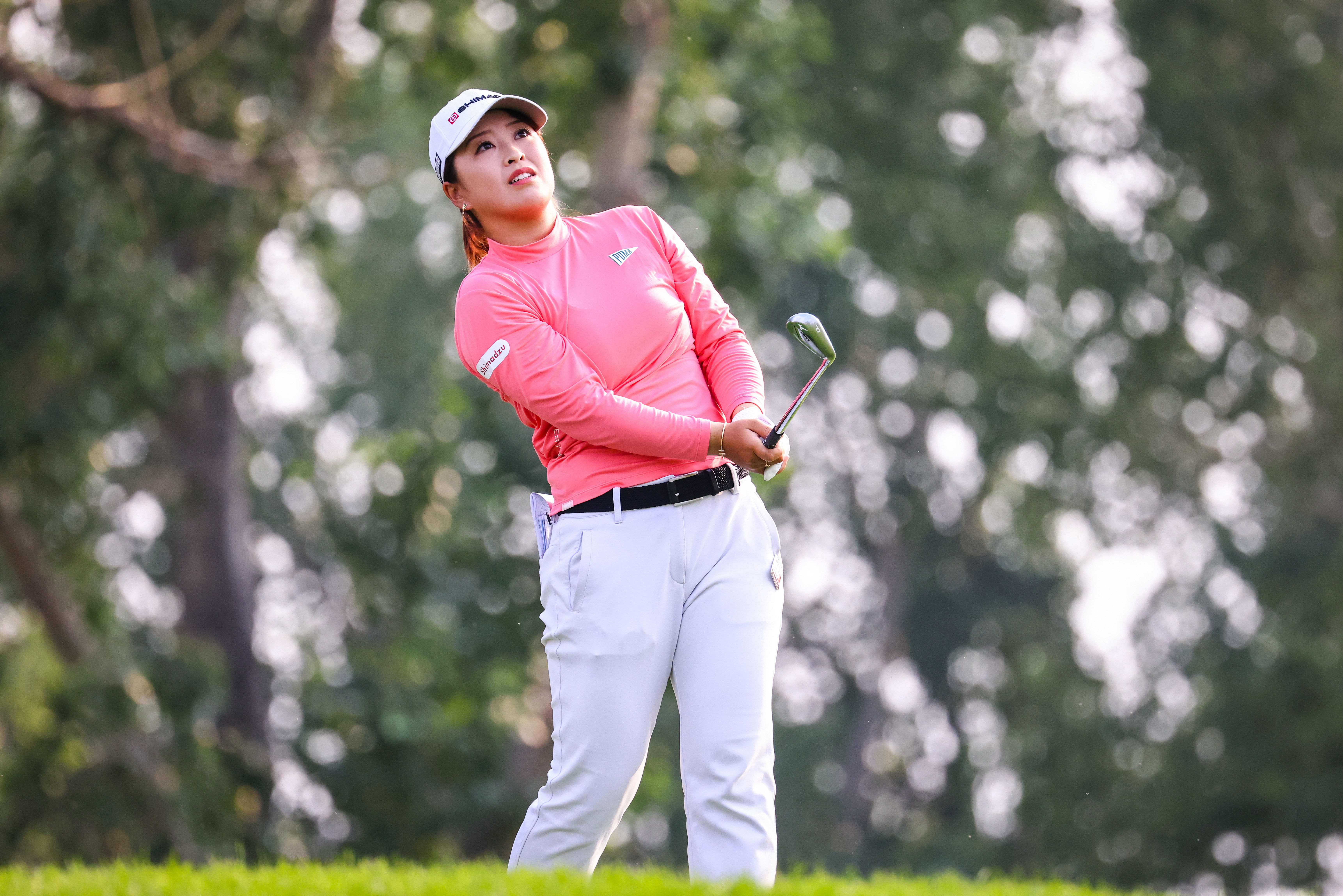 Who is leading the 2024 Maybank Championship after day 1? Leaderboard