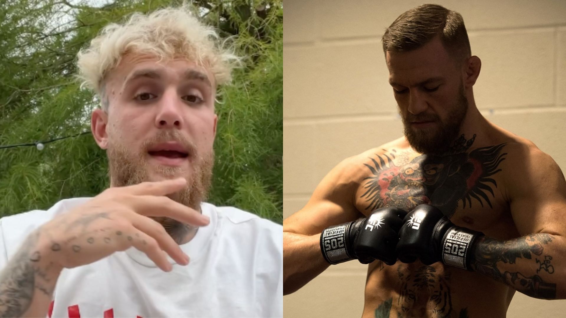 Jake Paul voices his opinion about Conor McGregor