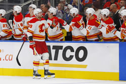 Nashville Predators Playoff History - Championship Wins & Appearances