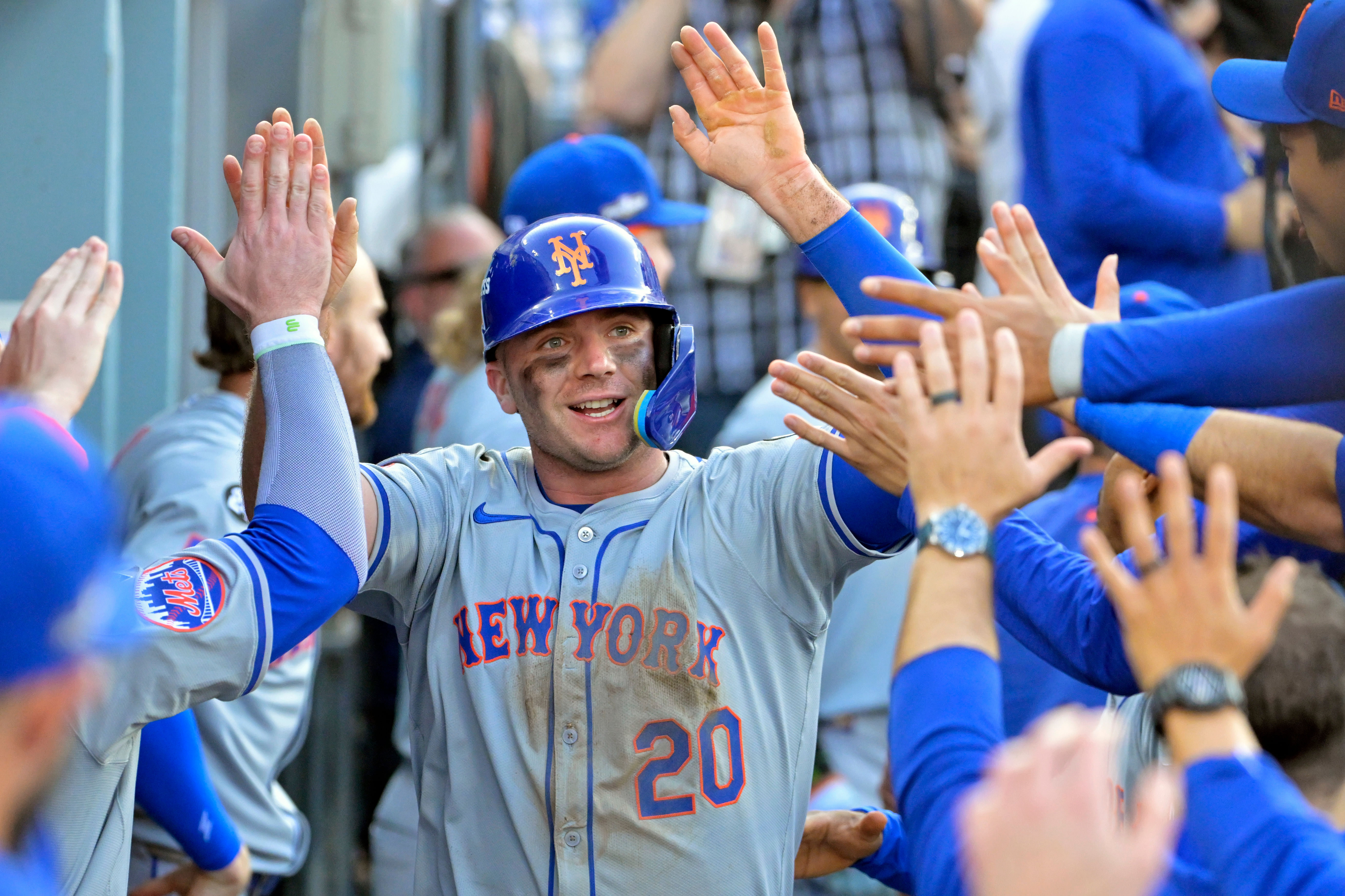 Pete Alonso could hit a home run tonight (Imagn)