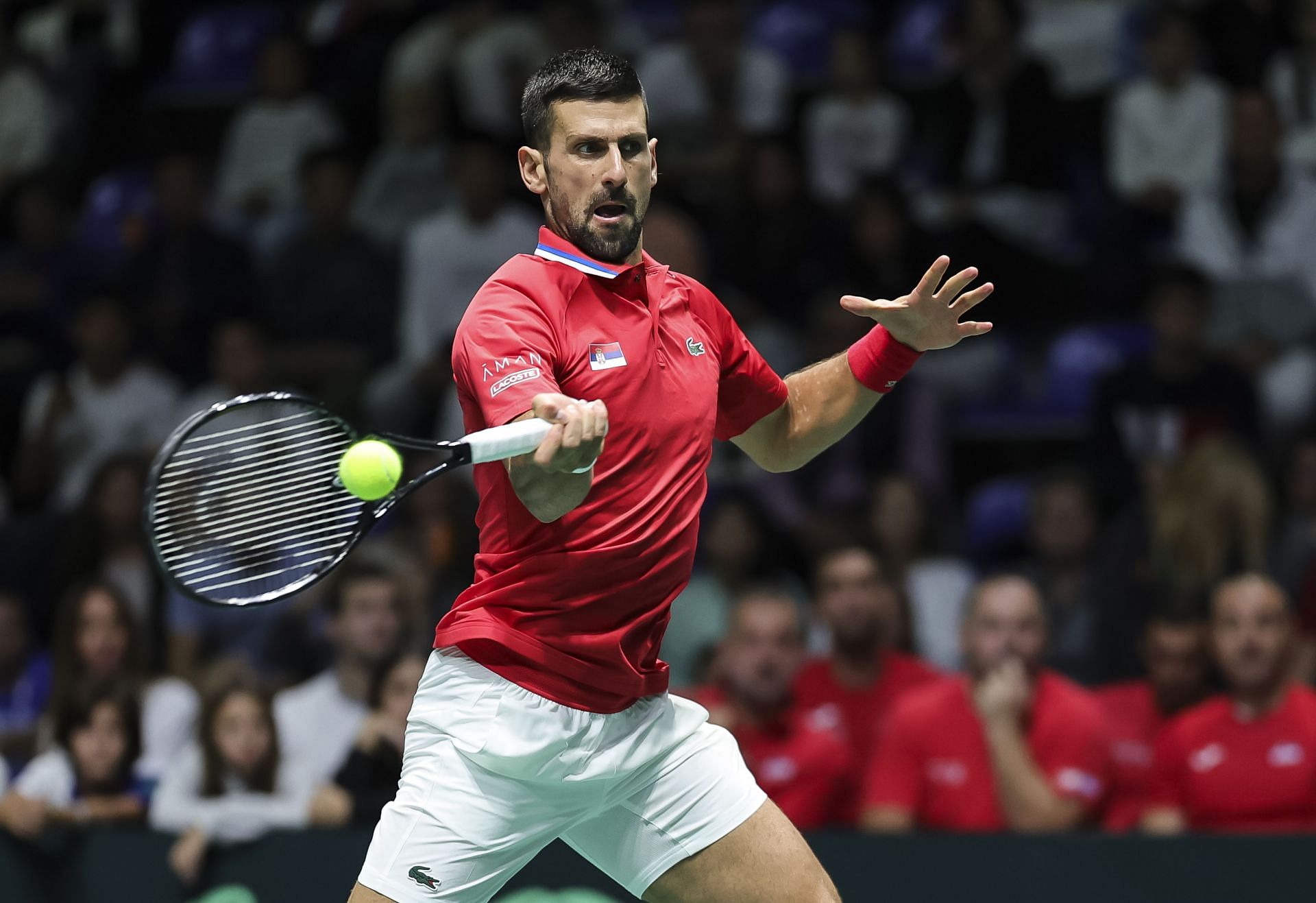 Novak Djokovic in action at the 2024 Davis Cup Finals (Picture: Getty)