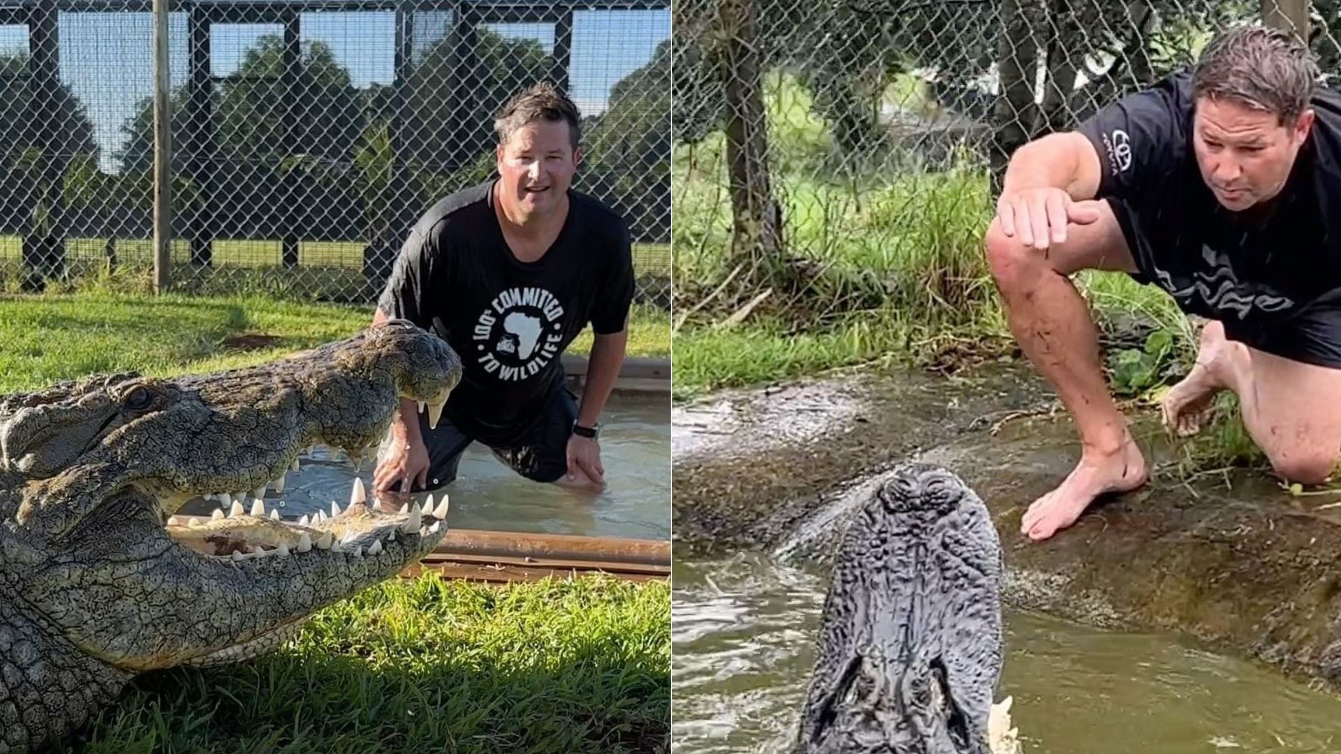 Dingo was a popular snake handler (Image via Instagram / dingo_dinkelman)