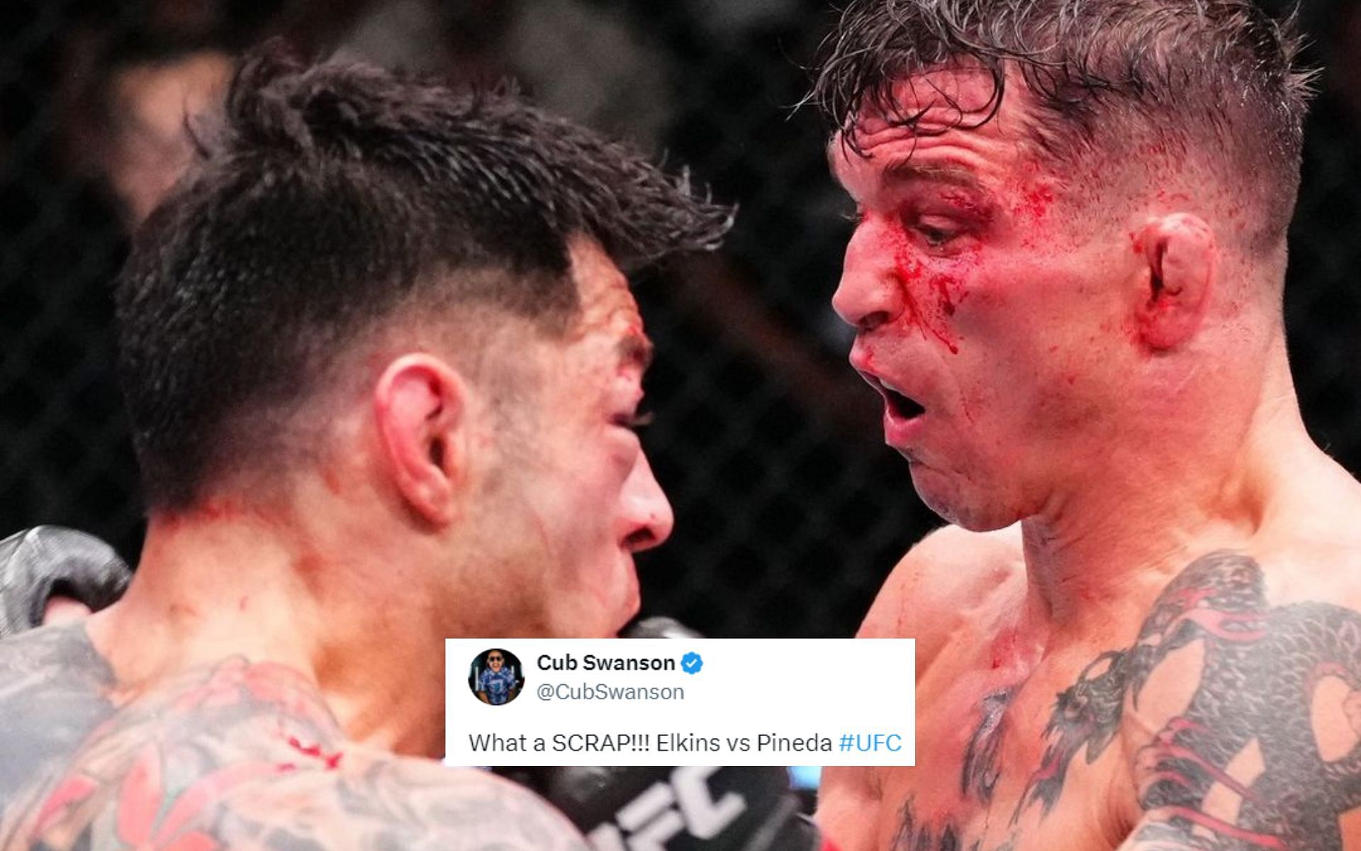 MMA stars react to Darren Elkins