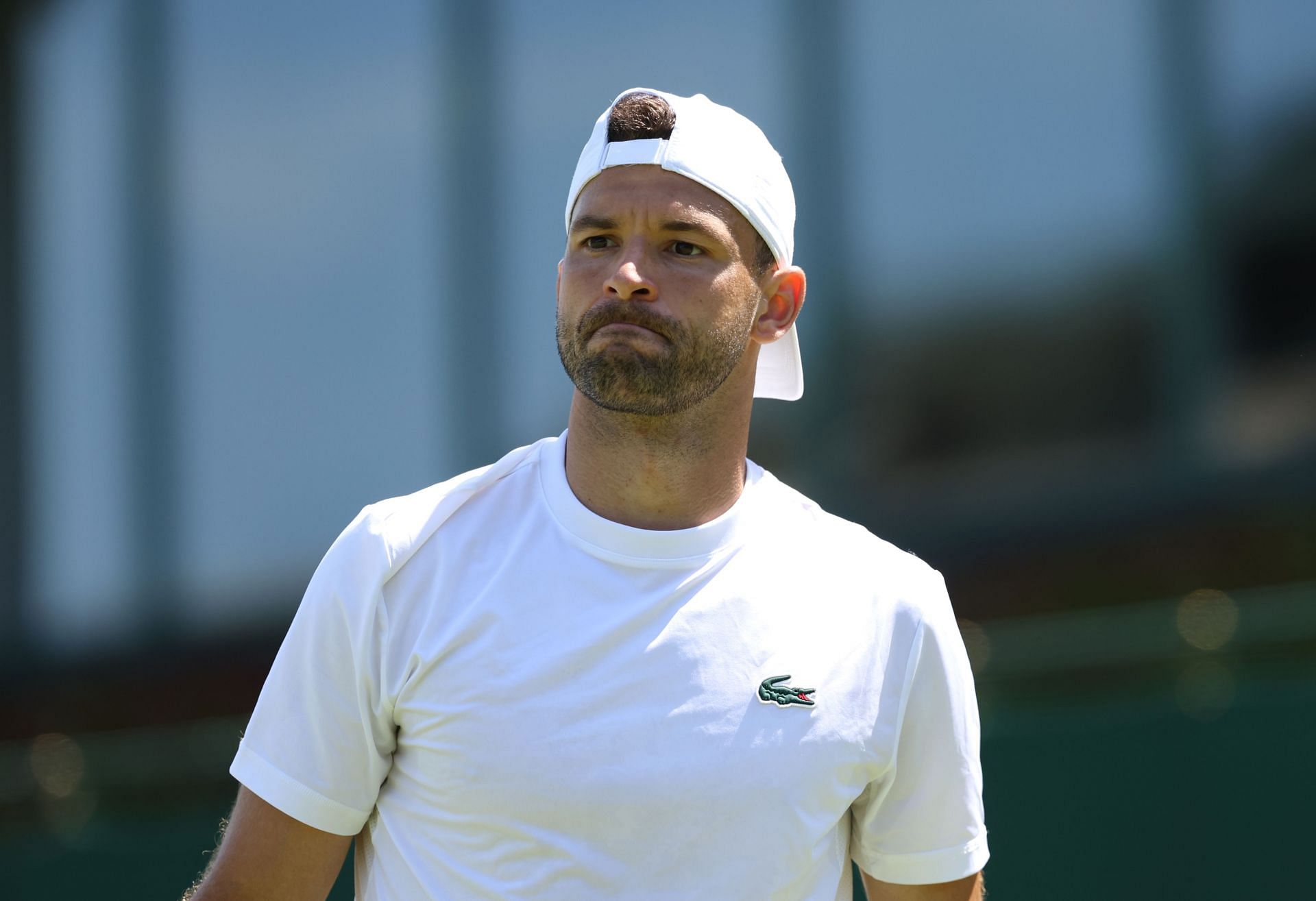 Dimitrov in training at the Championships - Wimbledon 2024 - Source: Getty