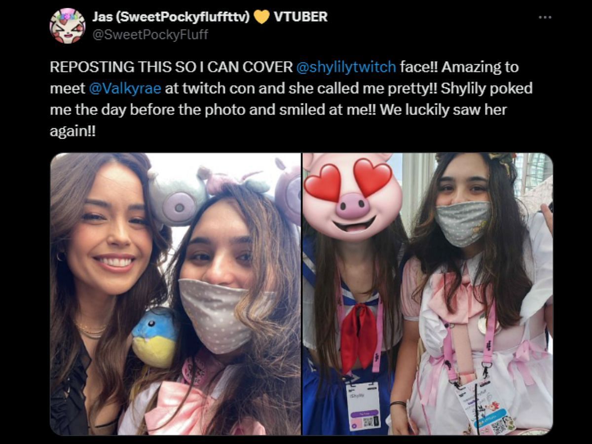 Fan clicks a selfie with Lily, and conceals her face with emoji (Image via X/@SweetPockyFluff)