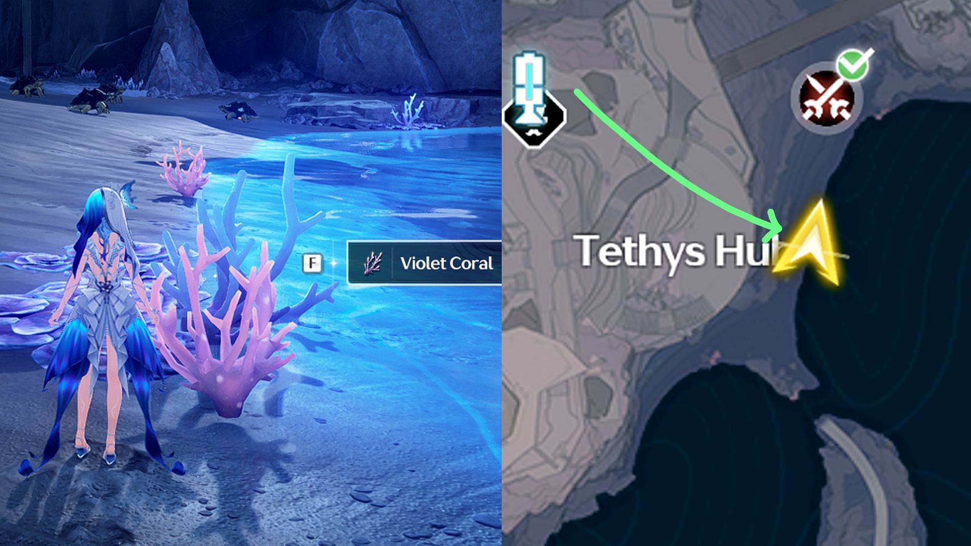 Location of two Violet Coral in the Tethys Hub area (Image via Kuro Games)