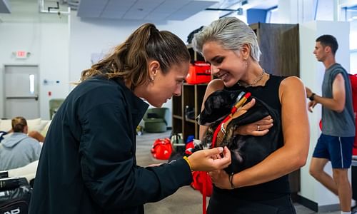 Daria Kasatkina with her girlfriend Natalia Zabiiako at the Cincinnati Open 2024 - Source: Getty