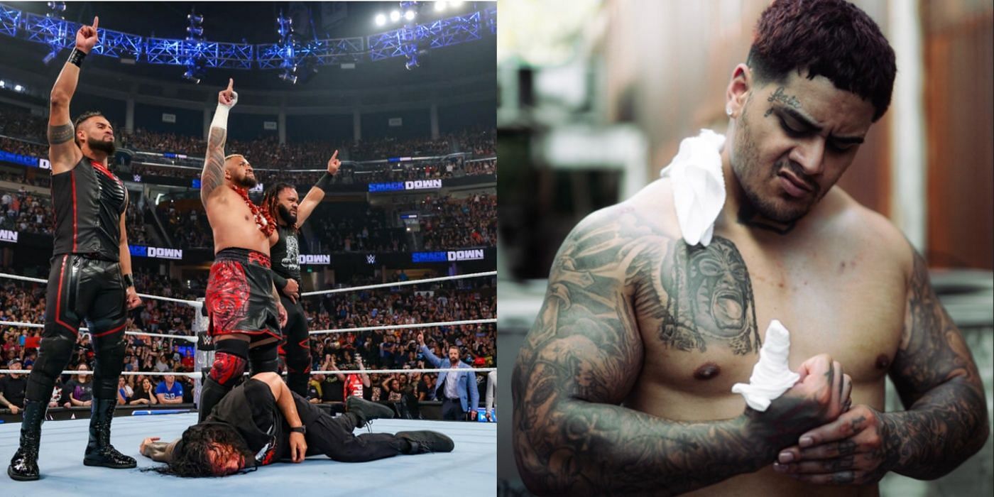 Roman Reigns might need to look beyond his former Bloodline allies for help (images sources: WWE.com, Zilla Fatu