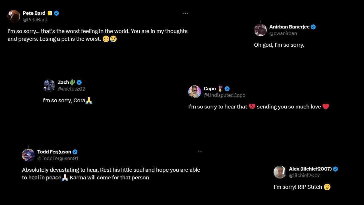 Fans respond to Jade's heartbreaking update (via her Twitter)