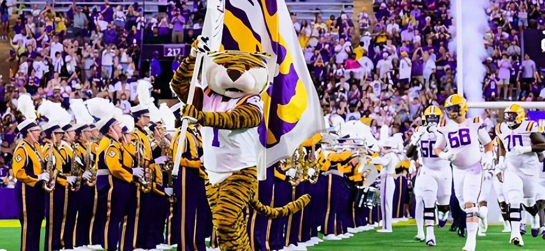 LSU&#039;s Tiger Mike (@lsumiketiger on Instagram)