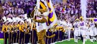 LSU's Tiger Mike (@lsumiketiger on Instagram)