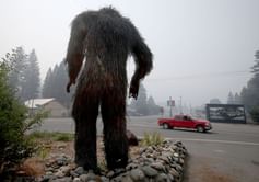 Fact Check: Is the Bigfoot sighting footage in Oklahoma real or fake? Viral video explained