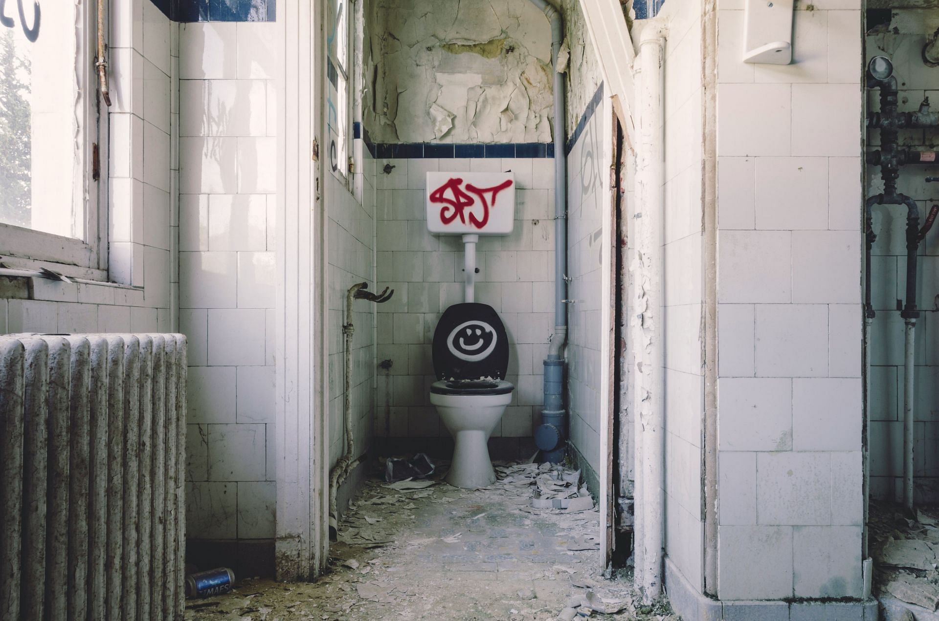 Tommy was slain with a toilet lid (Image by Gabor Monori/Unsplash)