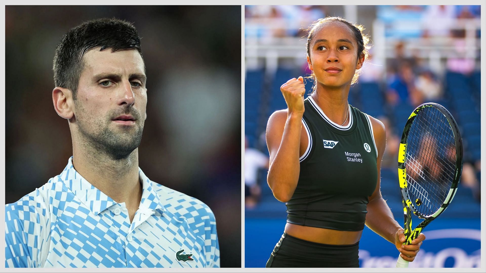 Novak Djokovic to withdraw from ATP Finals, Leylah Fernandez to end