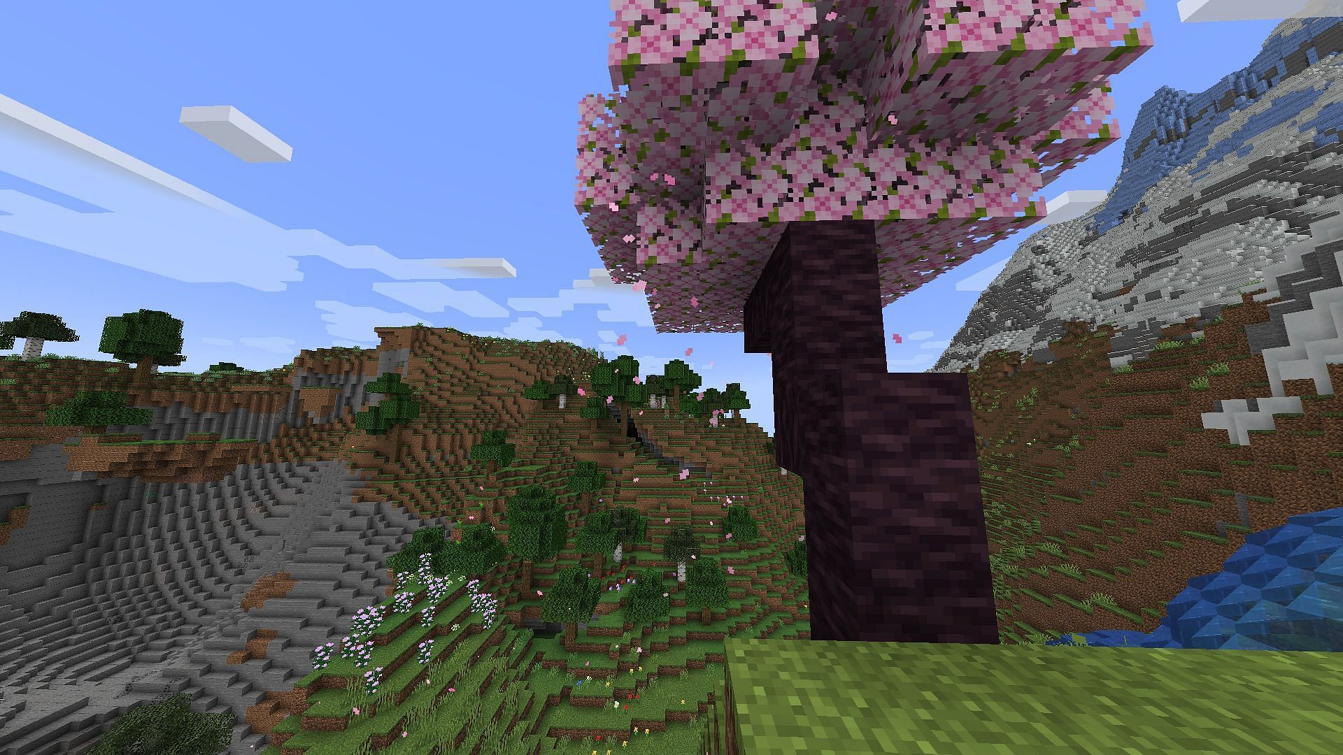 Add realistic visual effects to your world with this mod (Image via Mojang Studios/Chai)