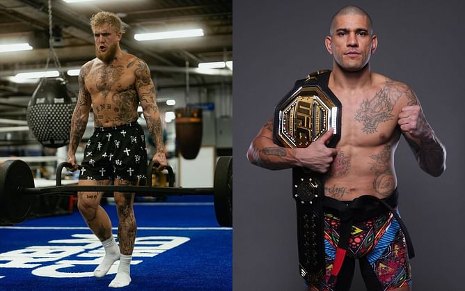 Jake Paul "1000%" certain about beating Alex Pereira in boxing match, says Khalil Rountree Jr. "exposed" holes in UFC star's game