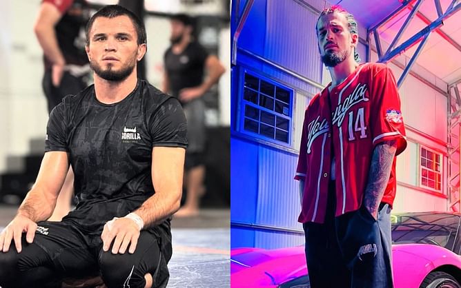 Umar Nurmagomedov fires shots at "bum" Sean O'Malley's lackluster performance at UFC 308 against Merab Dvalishvili: "He just running"
