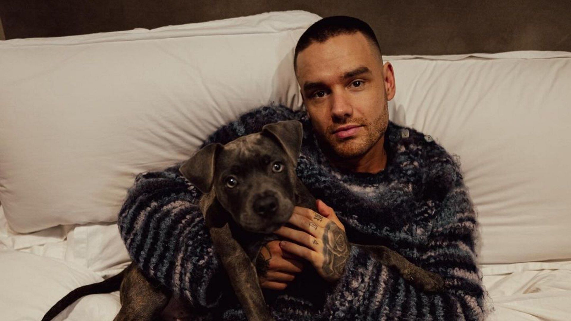 Liam Payne seen with his pet dog in March 2024 (Image via Instagram/@liampayne)