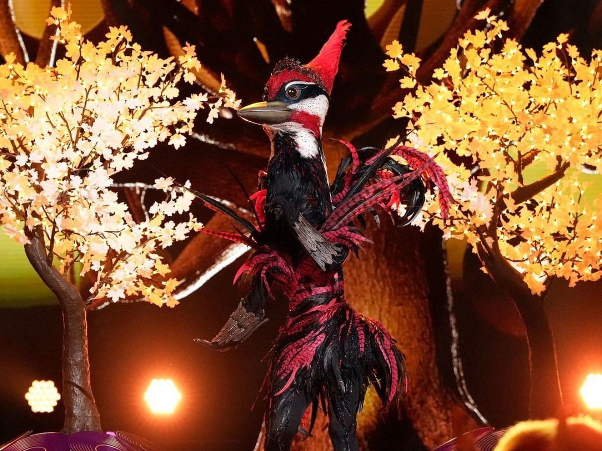 Woodpecker from The Masked Singer season 12b (Images via Instagram/@maskedsingerfox)